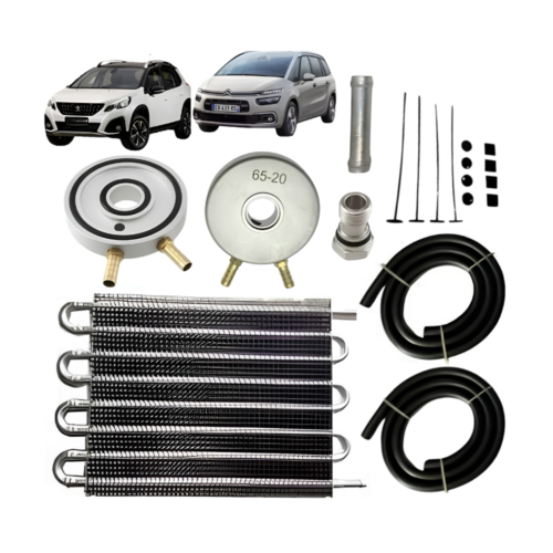 Kit Trocador De Calor Oleo Do Cambio Al4 At8 Dp0